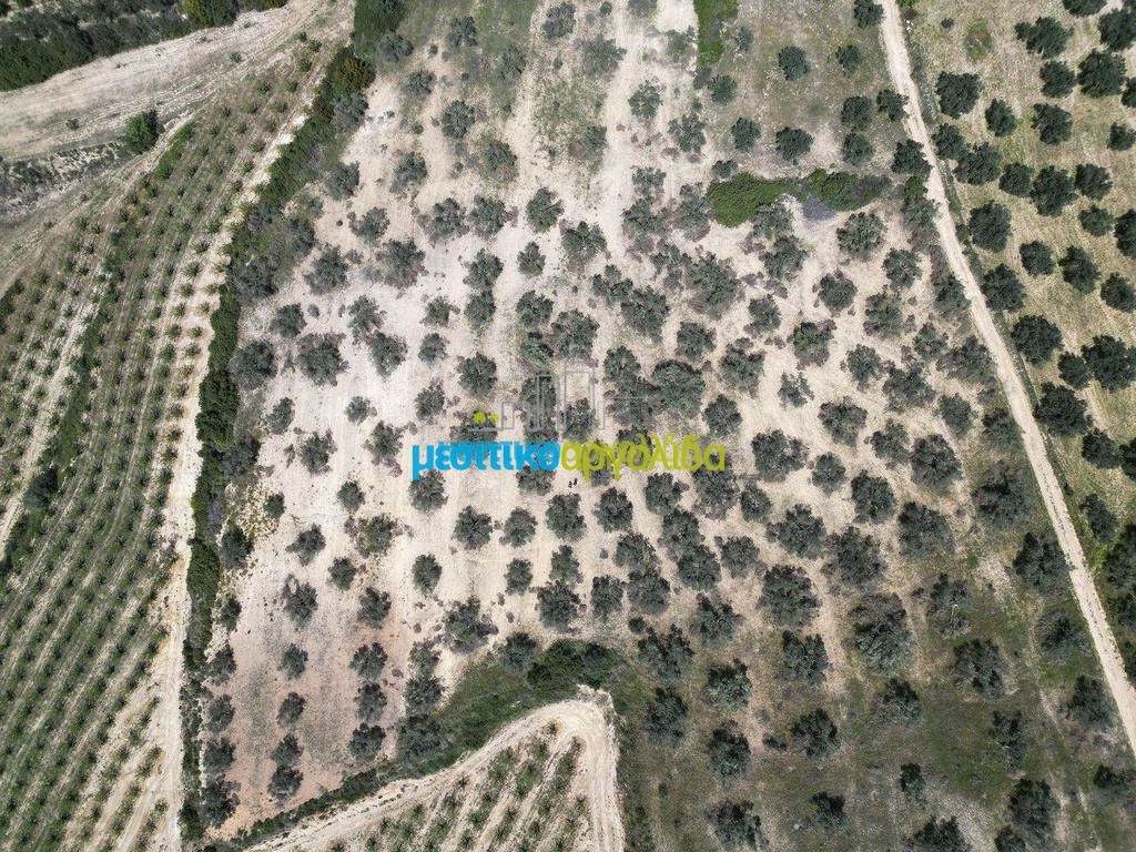 Αγροτεμάχια 31.500 τ.μ. προς πώληση, Μαλαντρένι