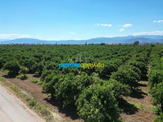 Οικόπεδο 3.700 τ.μ. για πώληση, Αργολίδα, Μιδέα-thumb-8