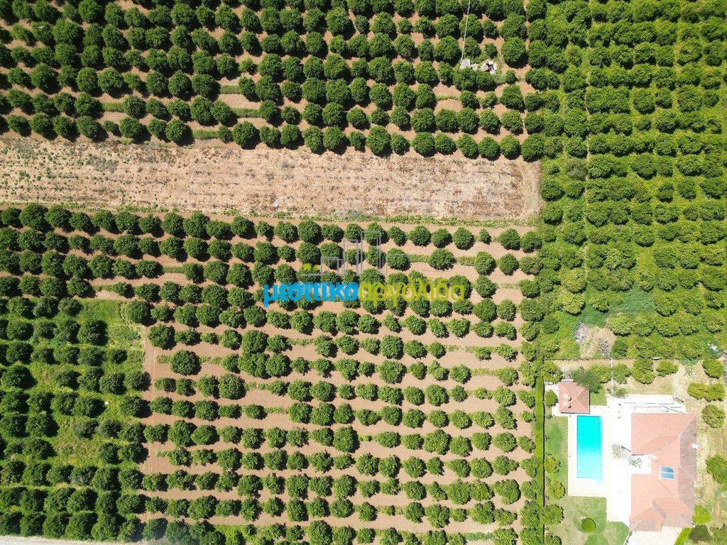 Οικόπεδο 3.700 τ.μ. για πώληση, Αργολίδα, Μιδέα