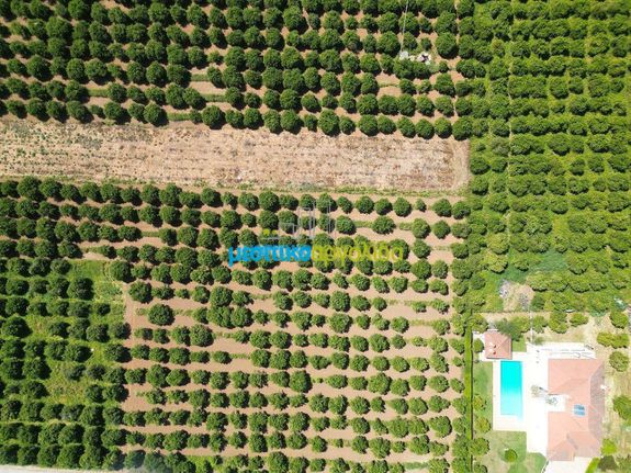 Οικόπεδο 3.700 τ.μ. για πώληση, Αργολίδα, Μιδέα