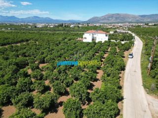 Οικόπεδο 3.700 τ.μ. για πώληση, Αργολίδα, Μιδέα-thumb-14