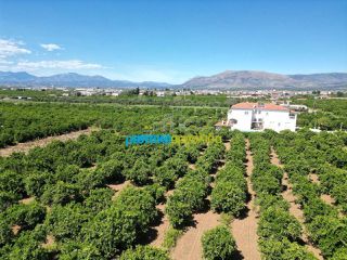 Οικόπεδο 3.700 τ.μ. για πώληση, Αργολίδα, Μιδέα-thumb-11