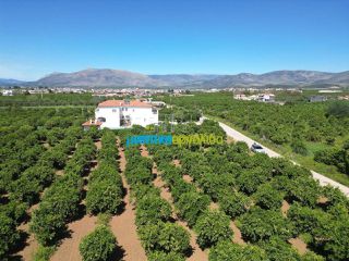 Οικόπεδο 3.700 τ.μ. για πώληση, Αργολίδα, Μιδέα-thumb-10
