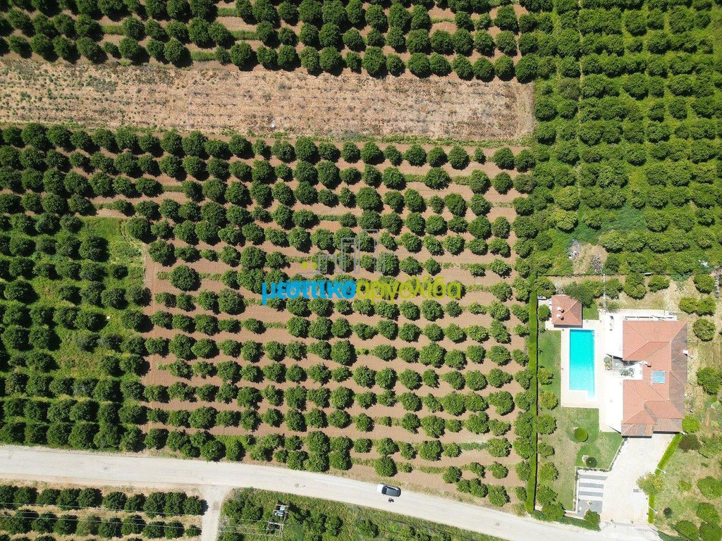 Οικόπεδο 3.700 τ.μ. προς πώληση, Αργολίδα, Μιδέα