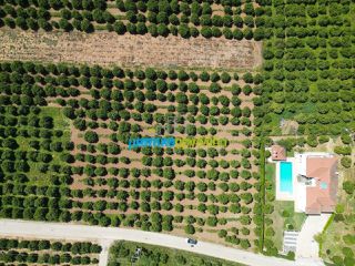 Οικόπεδο 3.700 τ.μ. για πώληση, Αργολίδα, Μιδέα-thumb-1