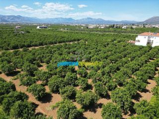 Οικόπεδο 3.700 τ.μ. για πώληση, Αργολίδα, Μιδέα-thumb-15