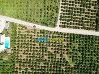 Οικόπεδο 3.700 τ.μ. για πώληση, Αργολίδα, Μιδέα-thumb-4