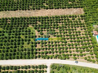 Οικόπεδο 3.700 τ.μ. για πώληση, Αργολίδα, Μιδέα-thumb-2
