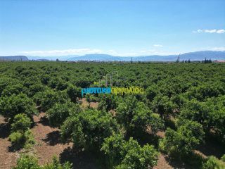 Οικόπεδο 3.700 τ.μ. για πώληση, Αργολίδα, Μιδέα-thumb-9