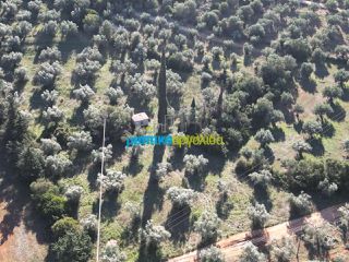 Αγροτεμάχια 25.000 τ.μ. για πώληση, Αργολίδα, Κουτσοπόδι-thumb-13
