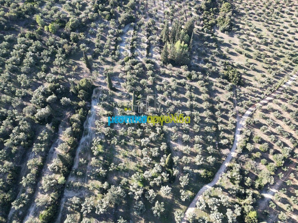 Αγροτεμάχια 25.000 τ.μ. πρός πώληση, Αργολίδα, Κουτσοπόδι