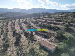 Αγροτεμάχια 90.000 τ.μ. για πώληση, Αργολίδα, Κουτσοπόδι-thumb-15