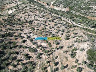 Αγροτεμάχια 90.000 τ.μ. για πώληση, Αργολίδα, Κουτσοπόδι-thumb-7