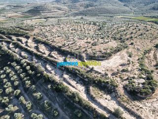 Αγροτεμάχια 90.000 τ.μ. για πώληση, Αργολίδα, Κουτσοπόδι-thumb-10