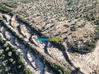 Αγροτεμάχια 90.000 τ.μ. για πώληση, Αργολίδα, Κουτσοπόδι-thumb-11