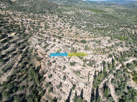 Αγροτεμάχια 90.000τ.μ. για πώληση-Κουτσοπόδι