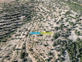 Αγροτεμάχια 90.000 τ.μ. για πώληση, Αργολίδα, Κουτσοπόδι-thumb-5