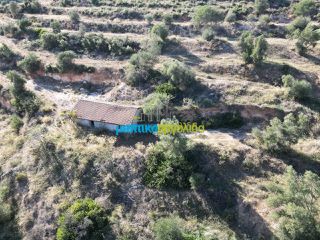 Αγροτεμάχια 90.000 τ.μ. για πώληση, Αργολίδα, Κουτσοπόδι-thumb-13