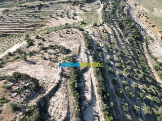 Αγροτεμάχια 90.000 τ.μ. για πώληση, Αργολίδα, Κουτσοπόδι-thumb-8