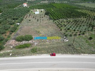 Οικόπεδο 6.500 τ.μ. για πώληση, Αργολίδα, Νέα Τίρυνθα-thumb-3