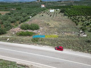 Οικόπεδο 6.500 τ.μ. για πώληση, Αργολίδα, Νέα Τίρυνθα-thumb-1