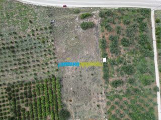 Οικόπεδο 6.500 τ.μ. για πώληση, Αργολίδα, Νέα Τίρυνθα-thumb-8