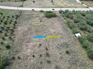 Οικόπεδο 6.500 τ.μ. για πώληση, Αργολίδα, Νέα Τίρυνθα-thumb-7