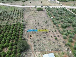 Οικόπεδο 6.500 τ.μ. για πώληση, Αργολίδα, Νέα Τίρυνθα-thumb-5