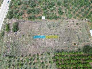 Οικόπεδο 6.500 τ.μ. για πώληση, Αργολίδα, Νέα Τίρυνθα-thumb-10
