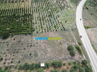 Οικόπεδο 6.500 τ.μ. για πώληση, Αργολίδα, Νέα Τίρυνθα-thumb-11