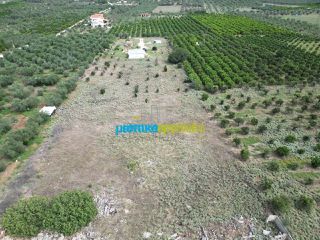 Οικόπεδο 6.500 τ.μ. για πώληση, Αργολίδα, Νέα Τίρυνθα-thumb-6