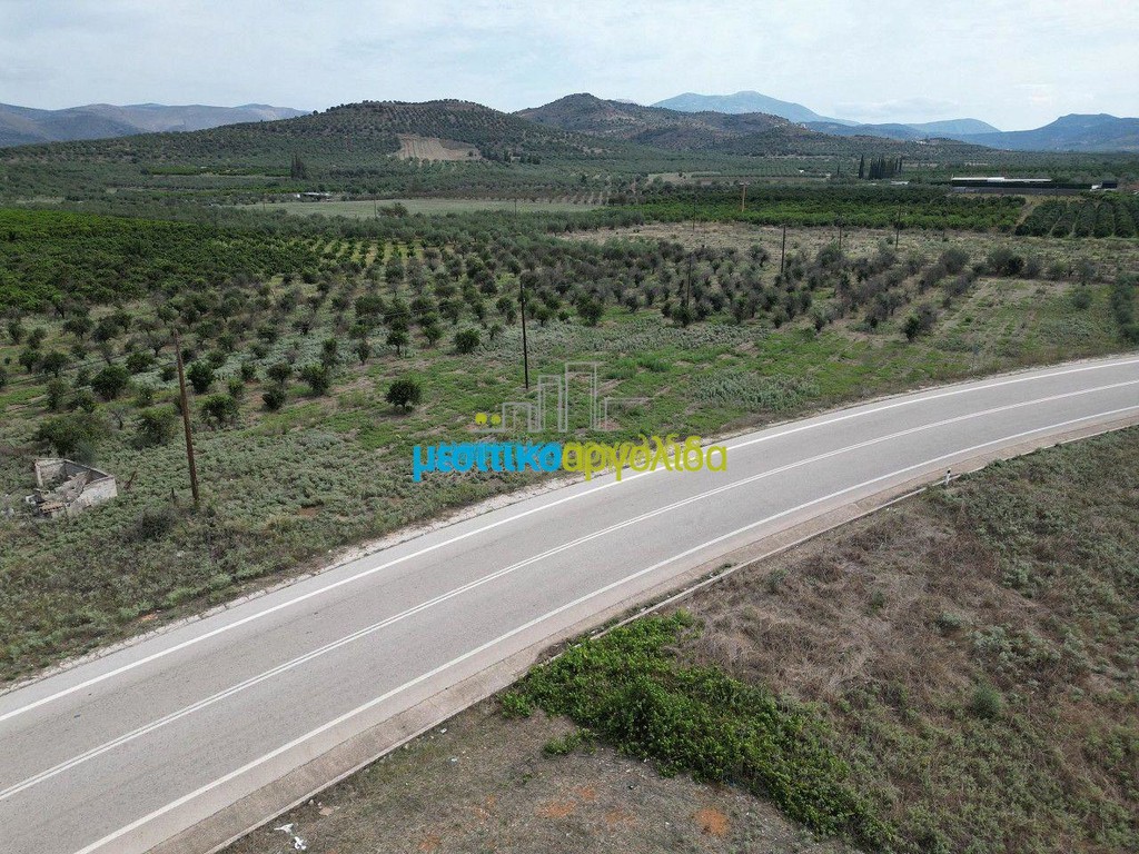 Land plot 6.500 sqm for sale, Argolis, Nea Tirintha