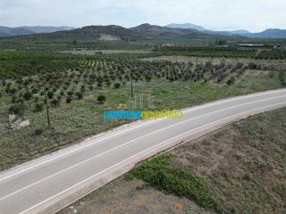 Οικόπεδο 6.500 τ.μ. για πώληση, Αργολίδα, Νέα Τίρυνθα-thumb-4