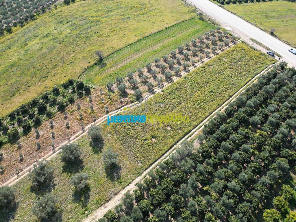 Αγροτεμάχια 5.516 τ.μ. πρός πώληση, Αργολίδα, Μυκήνες