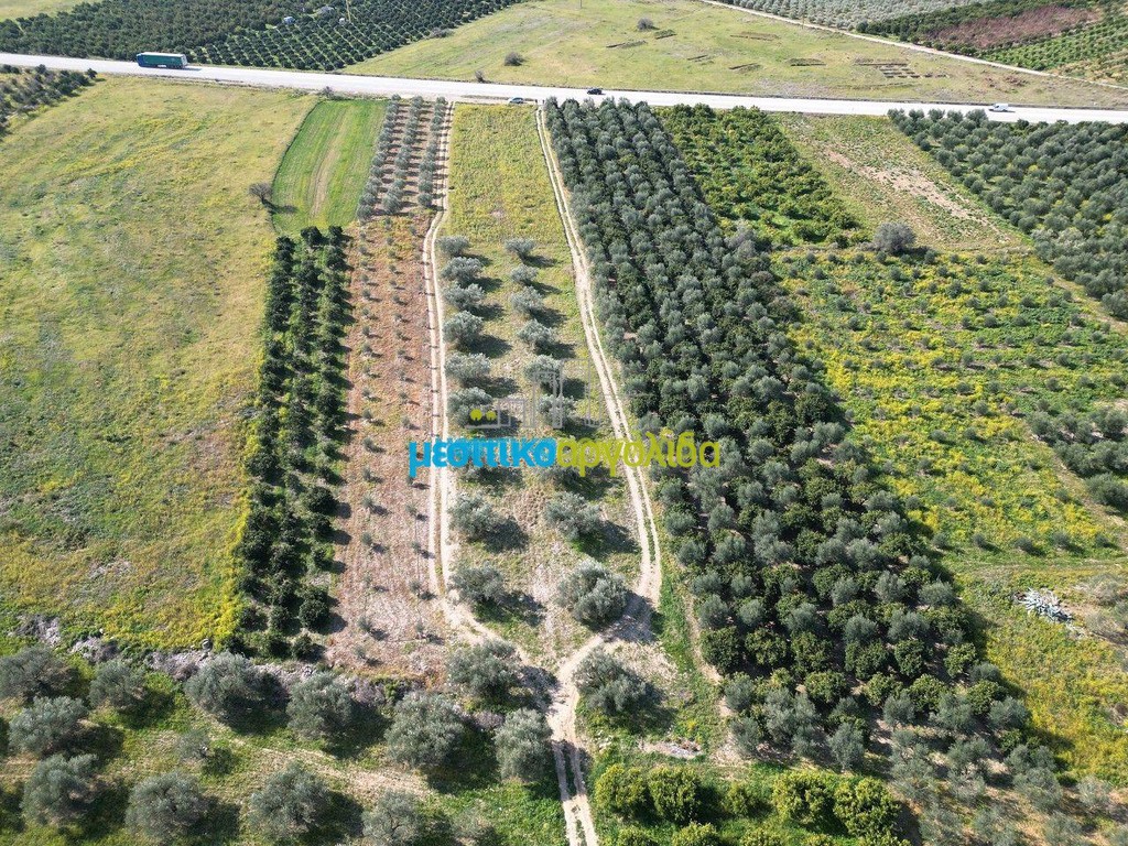 Αγροτεμάχια 5.516 τ.μ. πρός πώληση, Αργολίδα, Μυκήνες