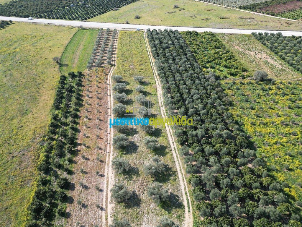 Αγροτεμάχια 5.516 τ.μ. πρός πώληση, Αργολίδα, Μυκήνες