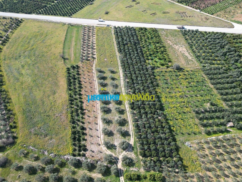 Αγροτεμάχια 5.516 τ.μ. πρός πώληση, Αργολίδα, Μυκήνες