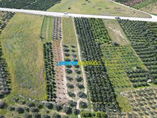 Αγροτεμάχια 5.516 τ.μ. για πώληση