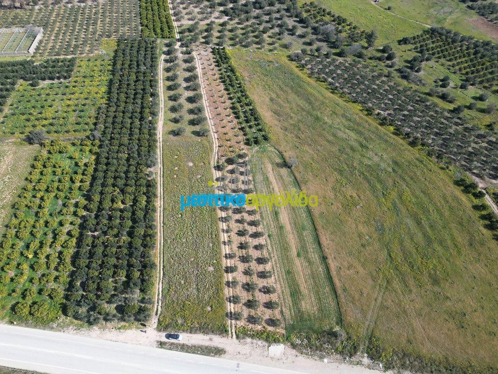 Αγροτεμάχια 5.516 τ.μ. πρός πώληση, Αργολίδα, Μυκήνες