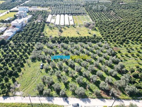 Land plot 550sqm for sale-Koutsopodi