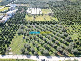 Οικόπεδο 550 τ.μ. για πώληση