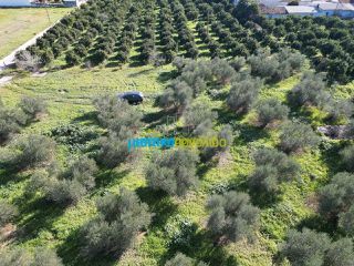 Οικόπεδο 550 τ.μ. για πώληση, Αργολίδα, Κουτσοπόδι-thumb-10