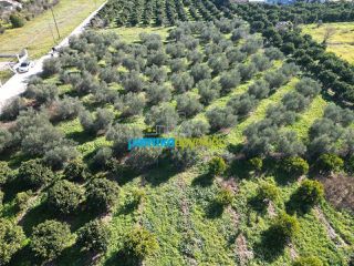 Οικόπεδο 550 τ.μ. για πώληση, Αργολίδα, Κουτσοπόδι-thumb-8