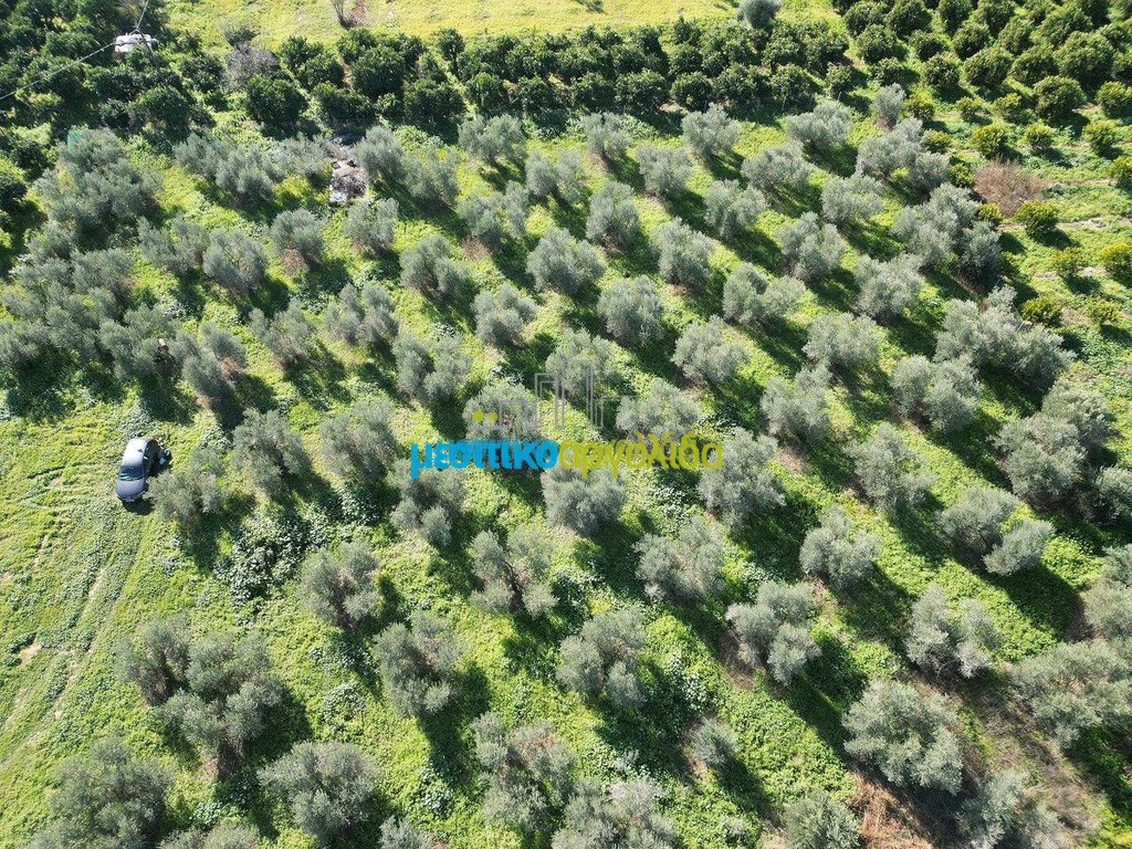Οικόπεδο 550 τ.μ. πρός πώληση, Αργολίδα, Κουτσοπόδι