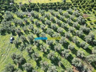 Οικόπεδο 550 τ.μ. για πώληση, Αργολίδα, Κουτσοπόδι-thumb-3