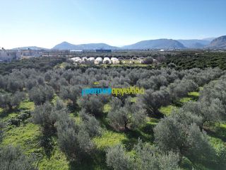 Οικόπεδο 550 τ.μ. για πώληση, Αργολίδα, Κουτσοπόδι-thumb-17