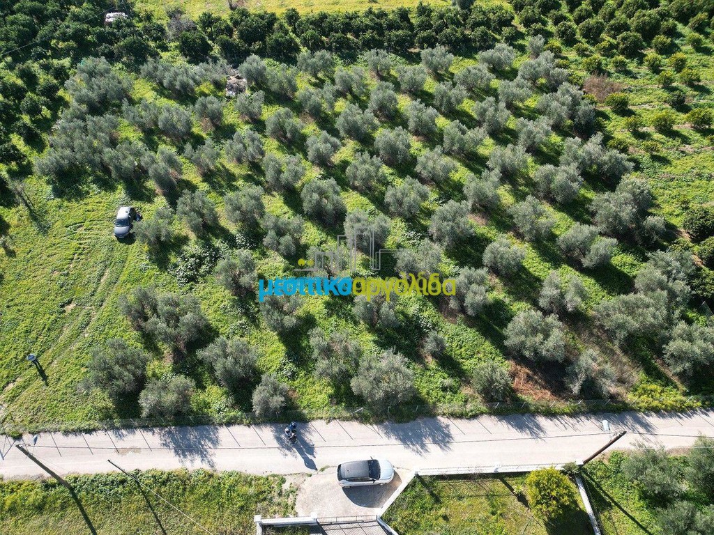 Οικόπεδο 550 τ.μ. πρός πώληση, Αργολίδα, Κουτσοπόδι