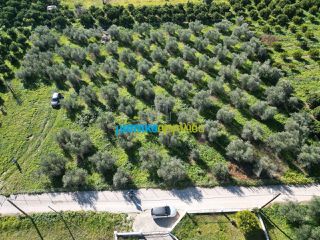 Οικόπεδο 550 τ.μ. για πώληση, Αργολίδα, Κουτσοπόδι-thumb-2