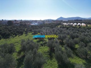 Οικόπεδο 550 τ.μ. για πώληση, Αργολίδα, Κουτσοπόδι-thumb-18