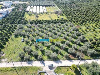 Οικόπεδο 550 τ.μ. για πώληση, Αργολίδα, Κουτσοπόδι-thumb-1